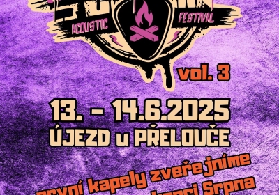 Punkplugged acoustic fest 2025